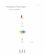 Prosthetic Flow Chart
