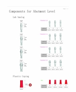 Components for Abutment Level