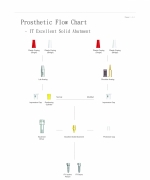 Prosthetic Flow Chart