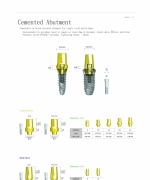 Cemented Abutment