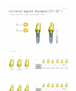 Collared Angled Abutment ( 15/25 )